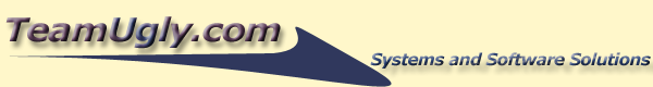 TeamUgly.com, Software Services, Systems Services